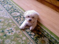 /album/fotogaleria/fotografie-0075-jpg/