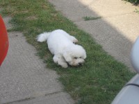 /album/fotogaleria/img-1605-jpg/