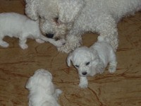 /album/fotogaleria/p1010145-jpg/