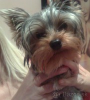 /album/fotogaleria/caki-jpg/