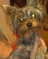 /album/fotogaleria/a6122969-jpg/